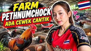 Download lagu PETHNUMCHOCK FARM HAS A PRETTY GIRL - PART 7 mp3 Download lagu PETHNUMCHOCK FARM HAS A PRETTY GIRL - PART 7 mp3
