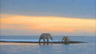 Van Morrison--End Of The Rainbow