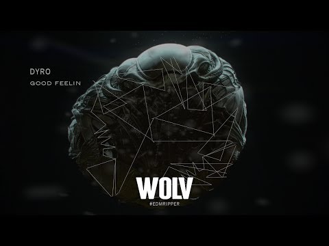 Dyro - good feelin [ posted on facebook ]