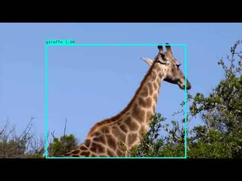 Video 3