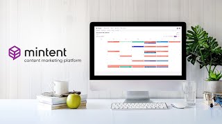 Mintent YouTube Video