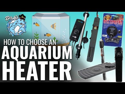 aquarium gear aquarium equipment