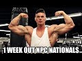 1 WEEK OUT NPC NATIONALS | MEN