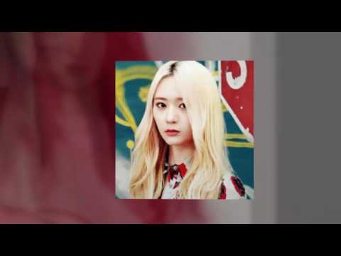 Jungsis evolution 2010/2016