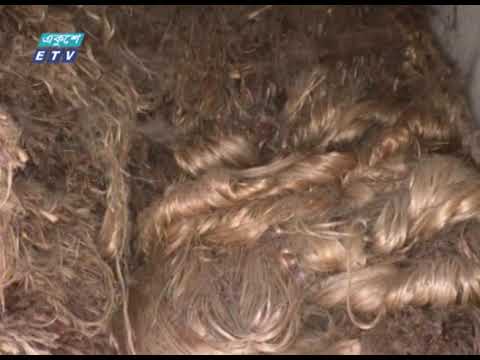 নাটোরে পাট মজুদ রাখায় গুদাম সিলগালা | ETV News