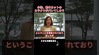 給与カットのカラクリを暴露され、小池震える...【さとうさおり/小池百合子/都議会/フィフィ】
