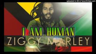Ziggy Marley - I Am Human (Reggae Music 2017)