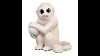 Warren Zevon&#39;s &quot;Porcelain Monkey&quot;: An Unofficial Fan Slideshow