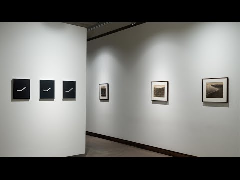 Nasreen Mohamedi | Autobiography of a Line | Walkthrough