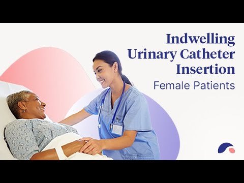 Urinary Catheter Insertion for Females | Ausmed Explains ...