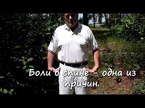 Иглотерапия суставов Лечение остеохондроза санатории у моря