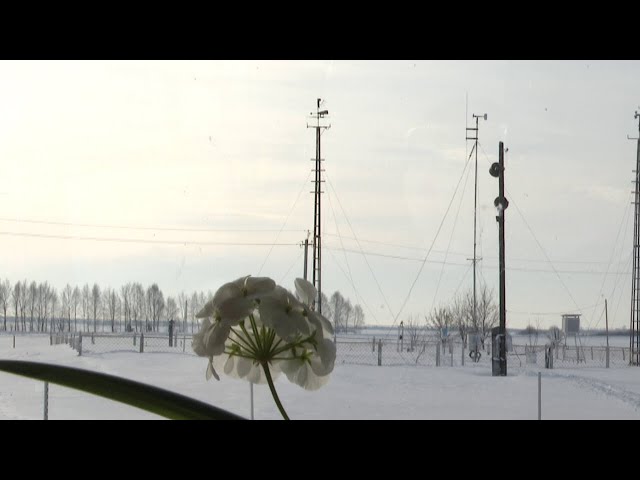 Метеорологи Чулпановской станции не считают эту зиму аномально снежной
