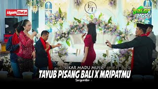 Download lagu TAYUB GLEERR - PISANG BALI - MRIPATMU - SEKAR MADU - UYAH MOTO CREATIVE - JHONT AUDIO mp3 Download lagu TAYUB GLEERR - PISANG BALI - MRIPATMU - SEKAR MADU - UYAH MOTO CREATIVE - JHONT AUDIO mp3