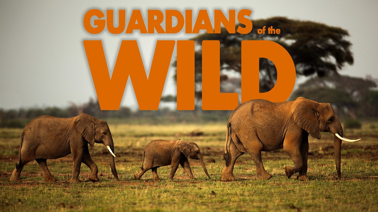 HEROES of Conservation | Full Documentary