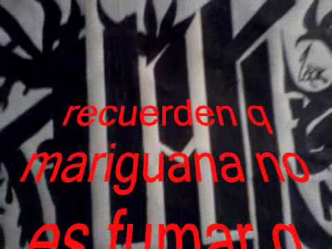 zona ganjha vs t killa