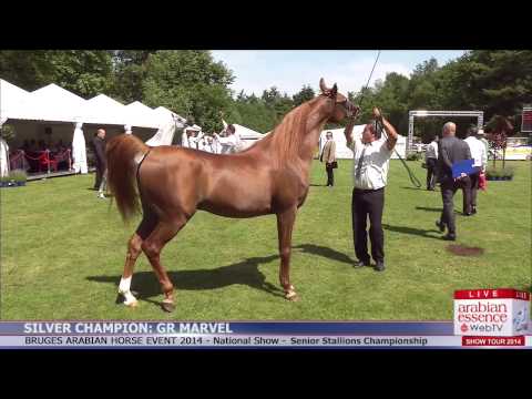 Bruges 2014 - Highlights