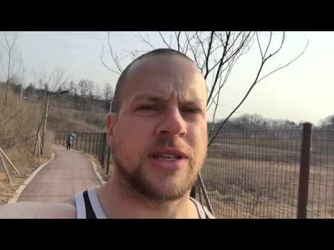 Strength training Program Recommendation - Omar Isuf and Greg Nuckols 28 free programs, pt. 1