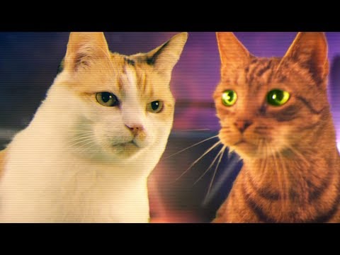 Mighty Morphin Meower Rangers | Ep 5 – Spellbound