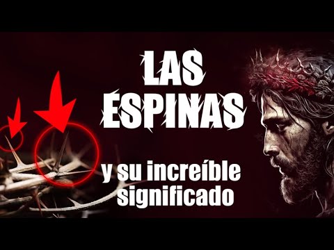 ¿Qué significaron las espinas en la corona de Jesús? ¿Qué significa la corona de espinas de Jesús?