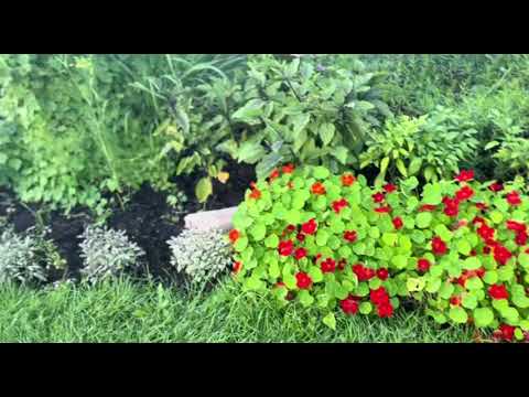 abida parveen @nfsgallery 