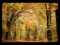 LUZ AMOR Y VIDA, CARLOS SANTANA.wmv