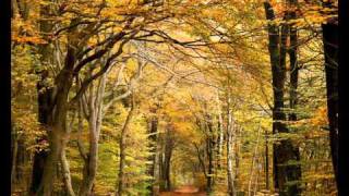 LUZ AMOR Y VIDA, CARLOS SANTANA.wmv