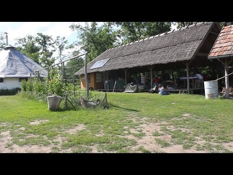 közönséges parazita