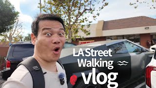 My First Time in LA — Everything Was So Different!
