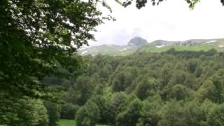 preview picture of video 'Trebiste Prosetka niz planina 15.06.2013'