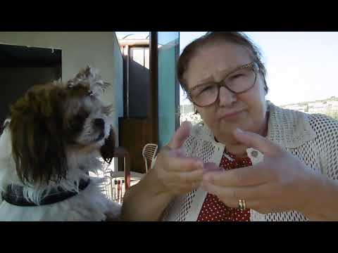 DEAF AUSRU - 13.08.2022 - Questa donna è stata in coma per 1 mese..... e cagnolina Amanda...