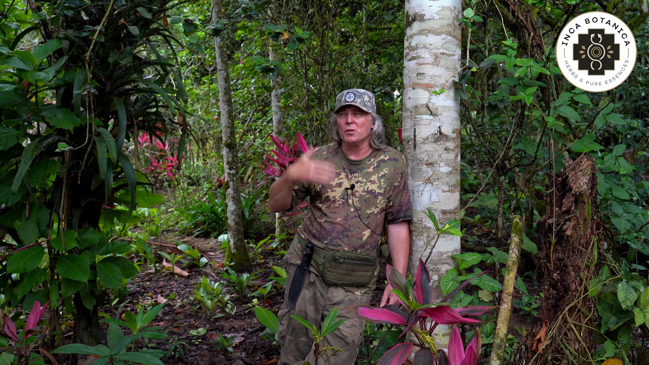 Petr Chobot - Dračia krv a deti