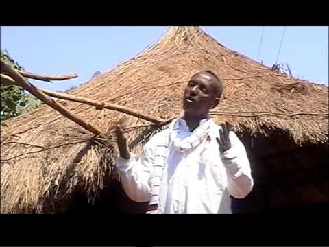 Bulii Biraanuu Gelloo Wallaggaa