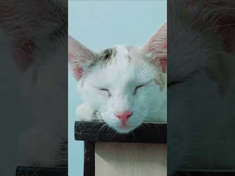 #jeena jeena#                               please please subscribe, like and share please please