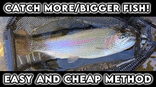 The BEST Trout Rig To Catch MORE/BIGGER Fish! ~How To Trout Fish~