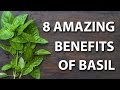 8 Health Benefits Of Basil