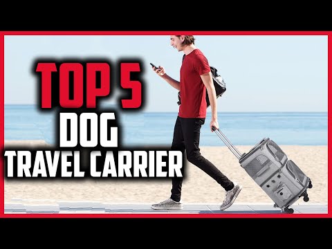Top 5 Best Airline-Approved Dog Travel Carriers with Wheels