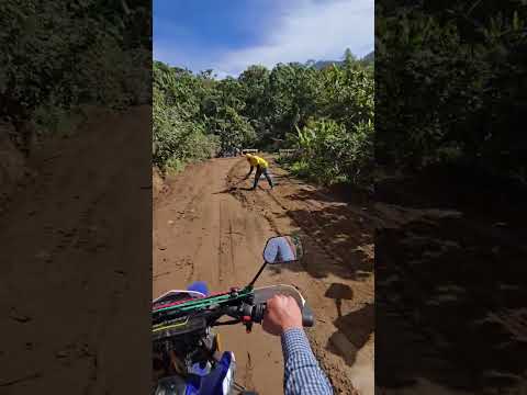 Camino a Mirador del Rostro Maya, RUTA Guineales - Santa Clara La Laguna #naturaleza #shorts