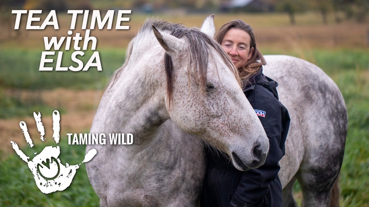 Tea With Elsa Episode 244