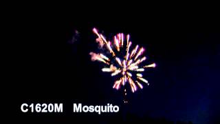 Mosquito