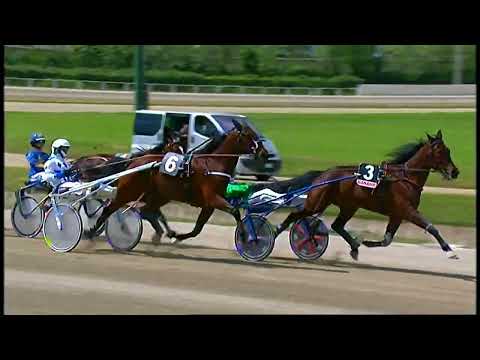 Napoli Trotto 08/05/2022 - 2ª corsa