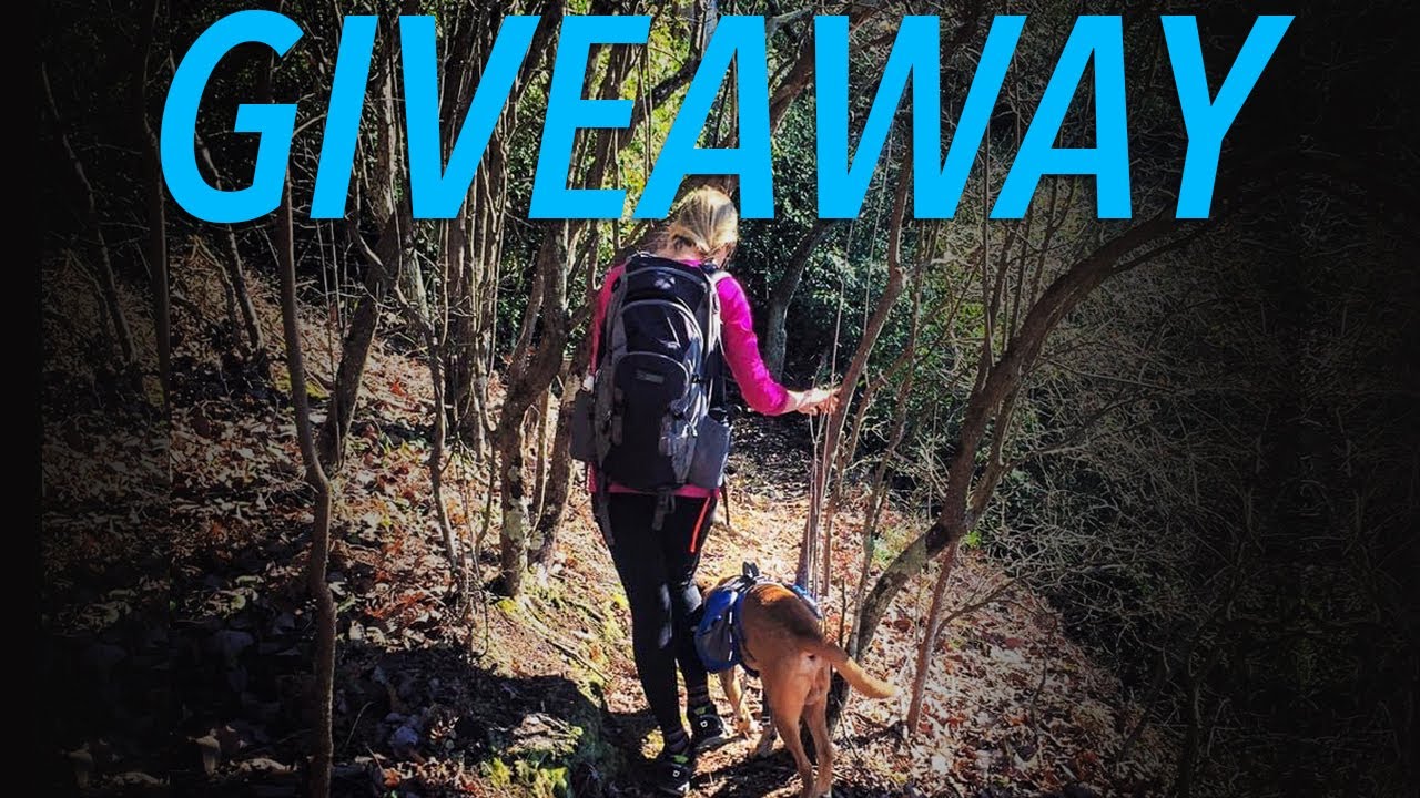 Backpacking Starter Kit For Your Dog