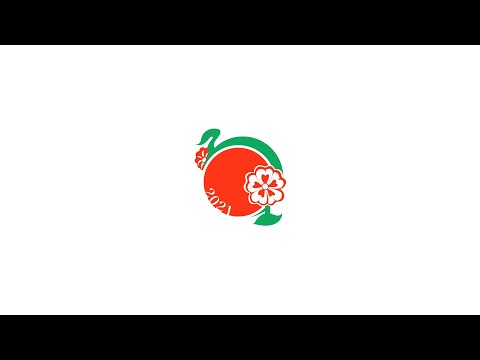 経済学科 第122回葵祭紹介動画　#葵祭 #東京経済大学