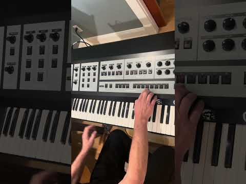 Oberheim OB-X 6-Voice (1979) – Fully Restored – Excellent – Local Pickup Preferred image 9