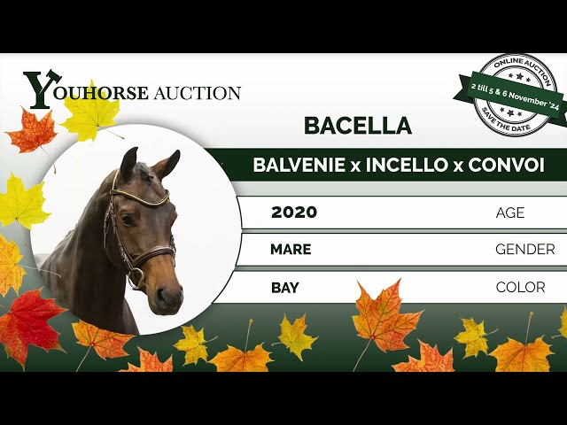 Bacella