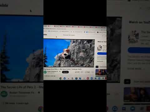 ＂Kung Fu Ogre, Donkey, Cat Part 23   End Credits ＂Kung Fu Fighting＂