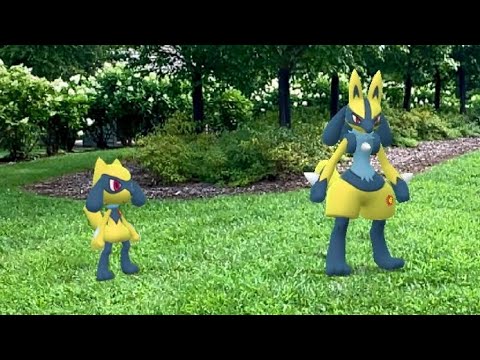 Pokémon Go , Lucario shiny on PvP , Rango 8