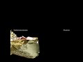 Pluramon feat Julee Cruise - So?