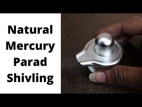 Natural Mercury (Parad) Shivling, Purified Mercury Shivling for Worship and Gifts