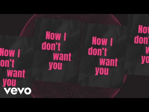 Riton, RAYE - I Don't Want You (Lyric Video)