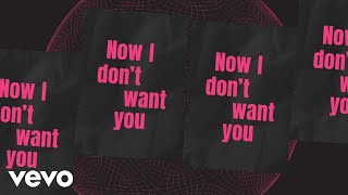 Riton RAYE - I Dont Want You (Lyric Video)